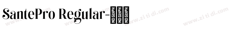 SantePro Regular字体转换